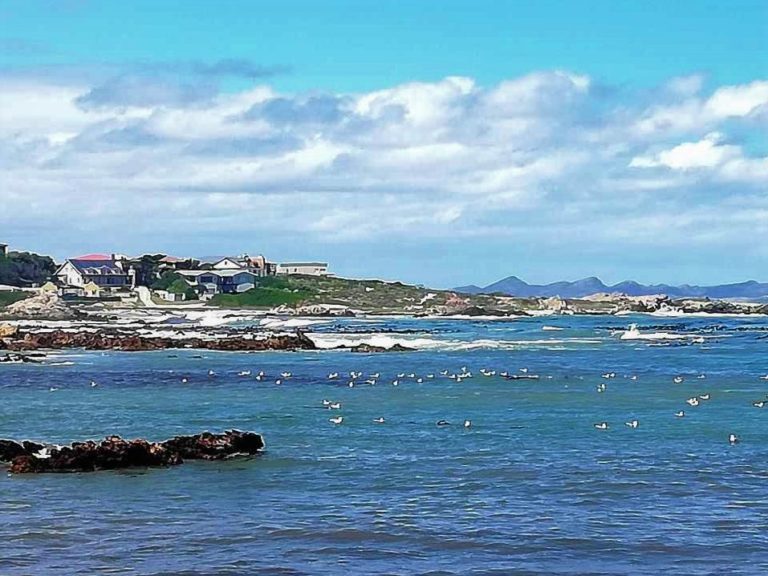 Kleinbaai