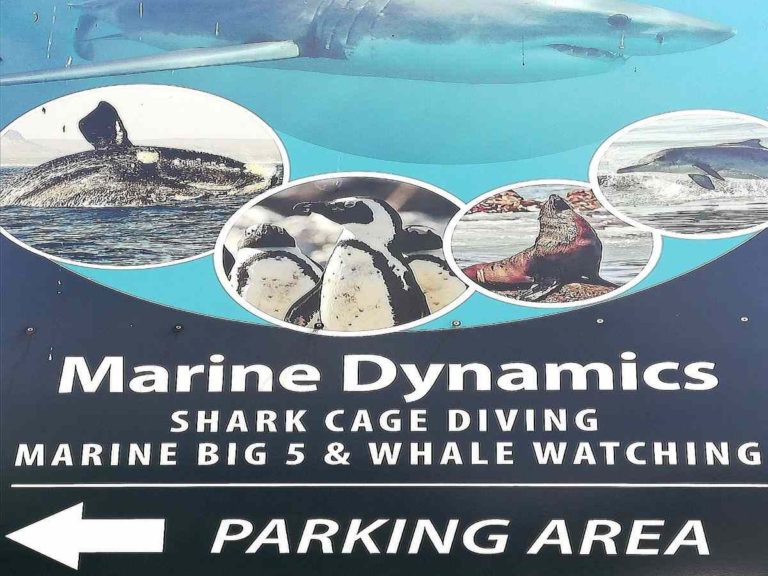 Kleinbaai Marine Dynamics