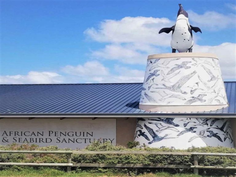 Kleinbaai - African Penguin & Seabird Sanctury