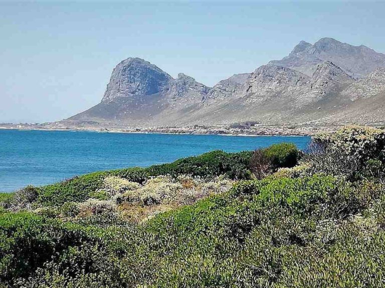 Pringle Bay