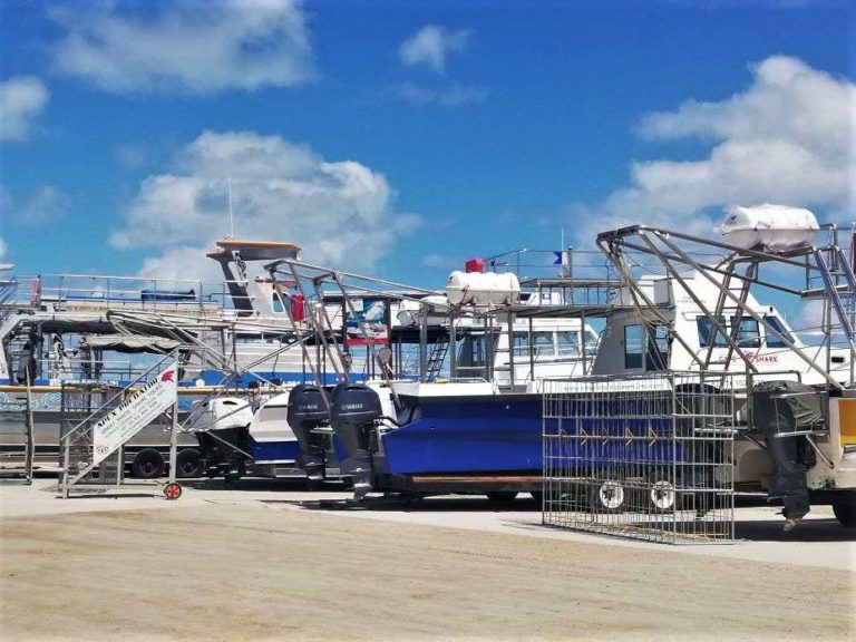 Kleinbaai - Shark Cage Diving Boats