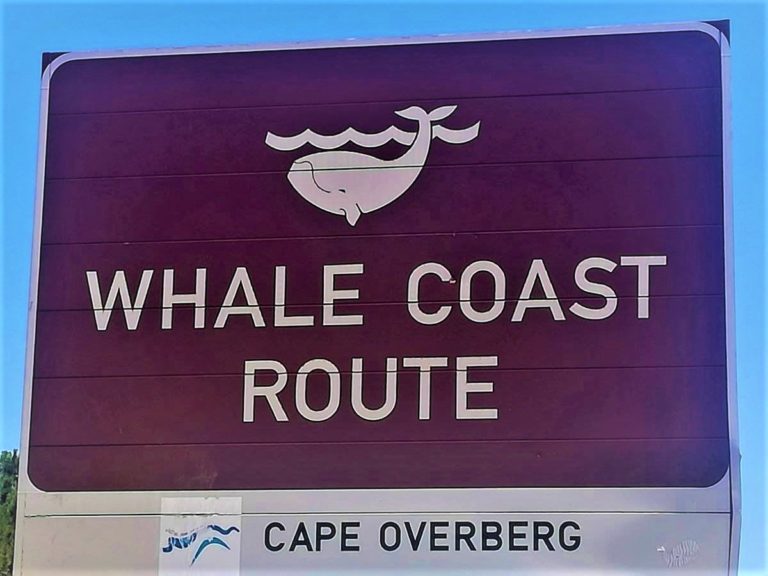 Cape Whale Coast Route