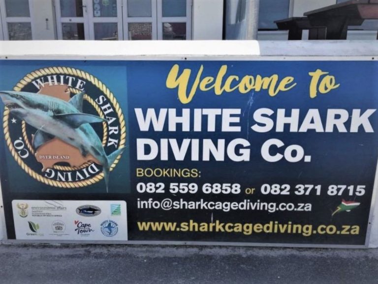 Kleinbaai - White Shark Diving Company