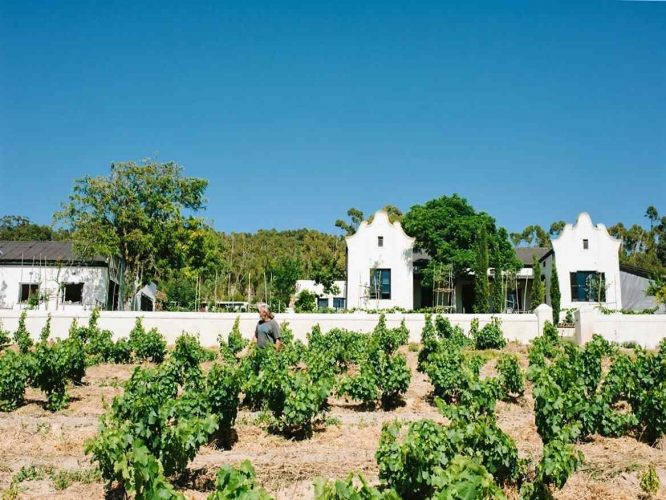 Malmesbury - A A Badenhorst Family Wines and Accommodation