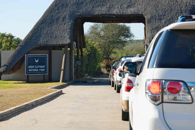 Addo Elephant Park Entrance