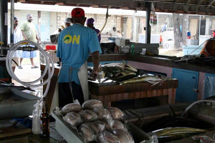 Barbados Fish Market
