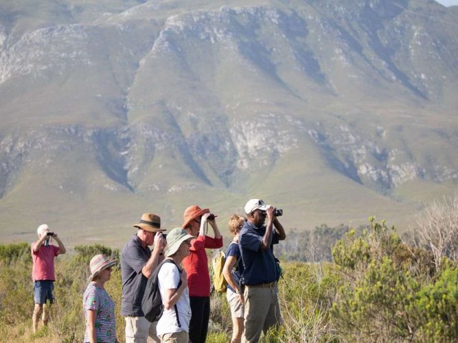 Mosaic Lagoon Lodge, Stanford - Bird Watching