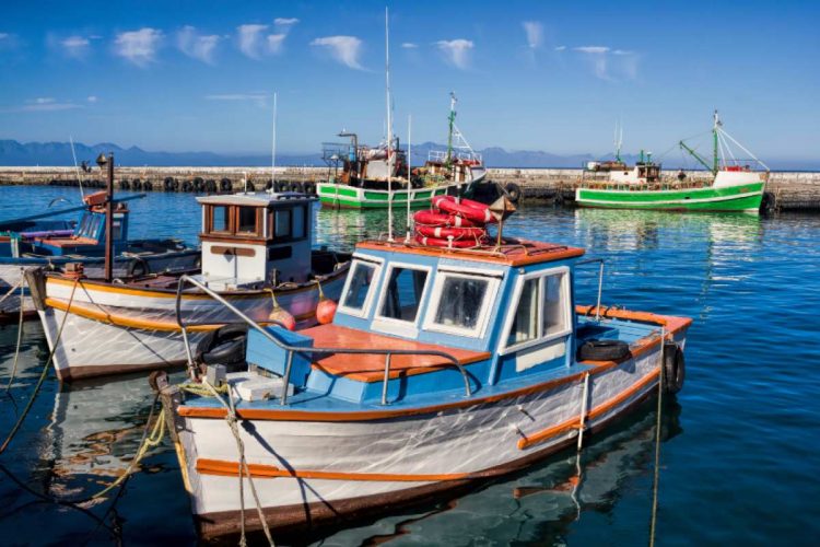 Kalk Bay Harbour