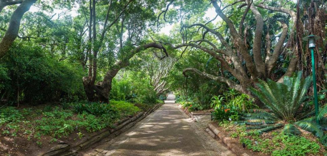 Kirstenbosch Botanical Gardens