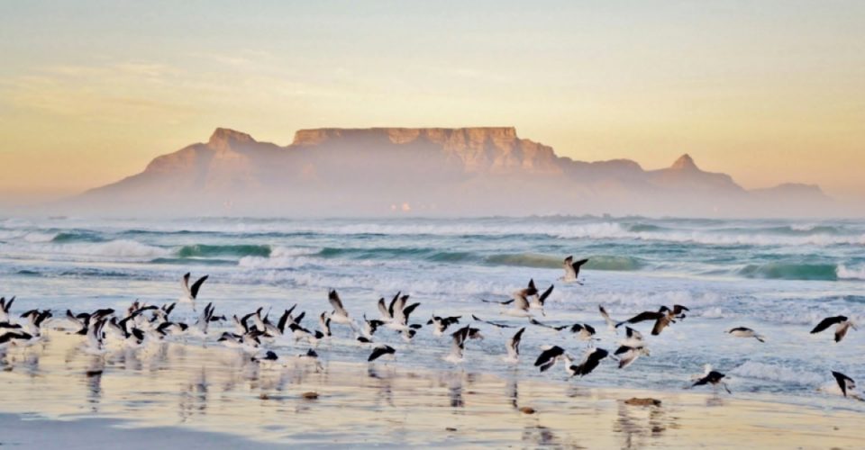Table Mountain from Bloubergstrand