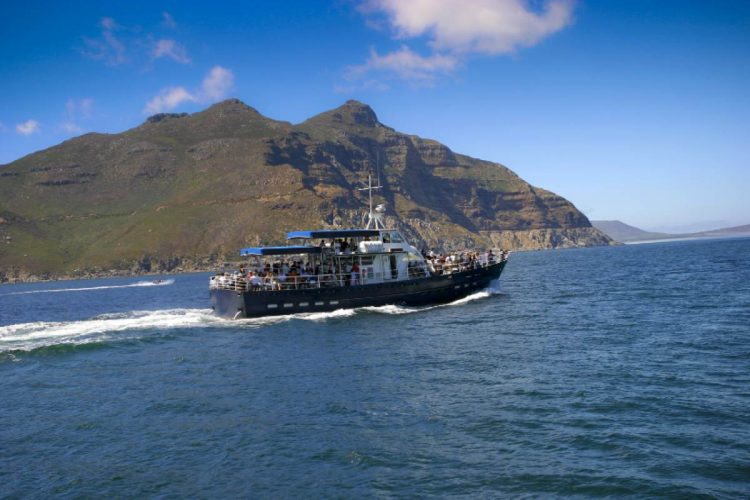 En route to Seal Island (Close to Hout Bay)