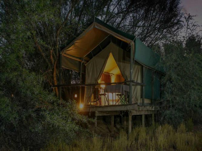 Oudtshoorn- Chandelier Game Lodge and Ostrich Show Farm