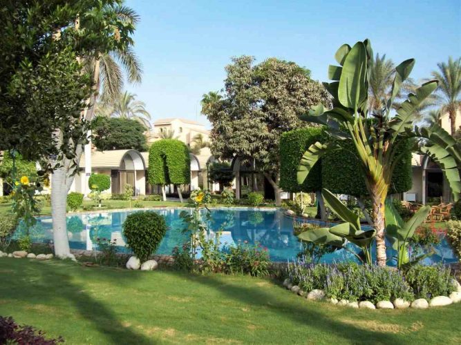 Egypt - Giza - Garden at our Hotel