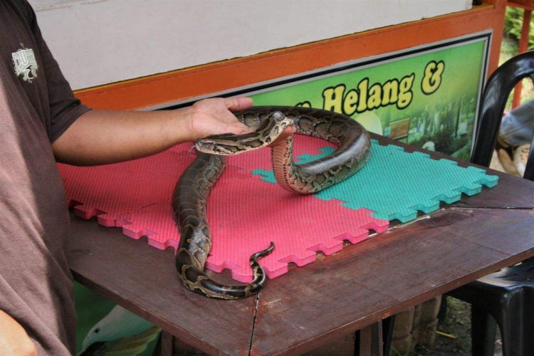Langkawi 6