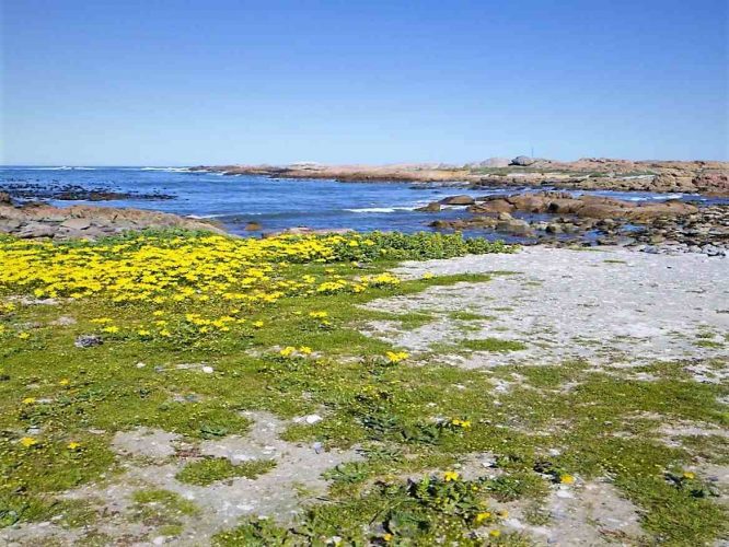 Paternoster