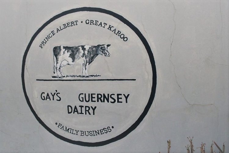 Prince Albert - Gay's Guernsey Dairy