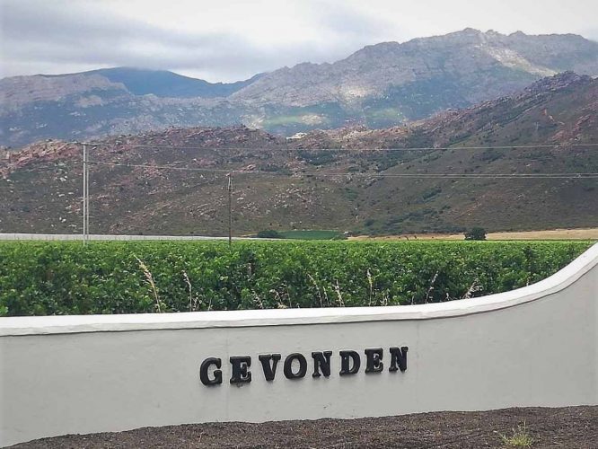 Rawsonville - Gevonden Wine Estate