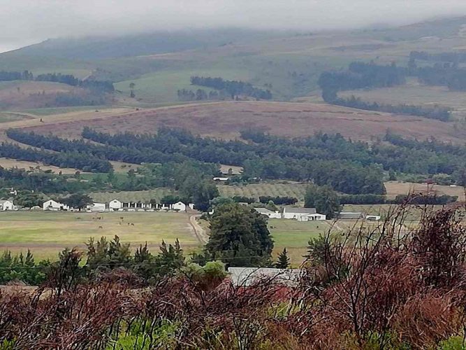 En Route to Robertson