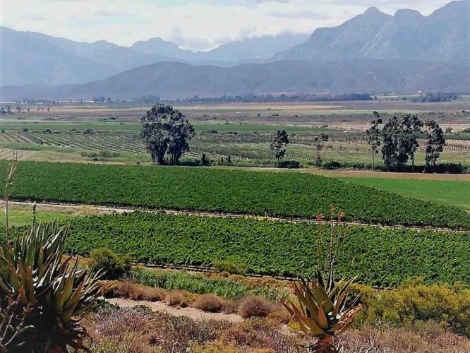 Breederiver Valley - Vineyards & Mountains