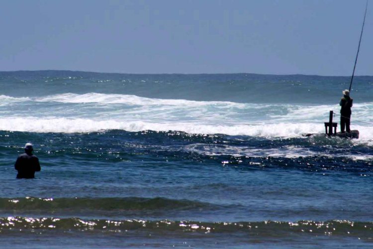 Wavecrest Fishing