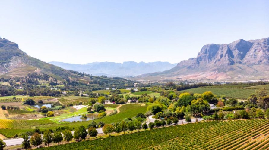 Wine Estates Aerial view of vineyards in Stellenbosch Area