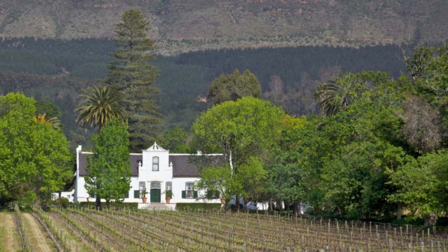 Wine Estates Buitenverwachting