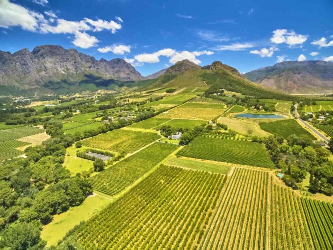 Wine Estates Franschhoek winelands and mountains