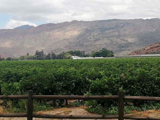 Breederiver Valley  -Vinyards & Mountains