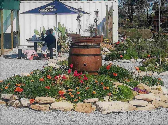 Yzerfontein - Yzervark Bistro
